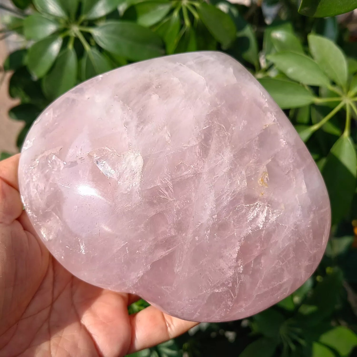 Rose Quartz